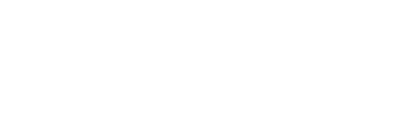 対象レース内容