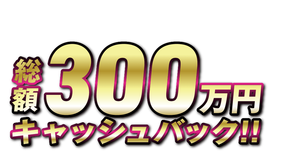 インターネット投票キャンペーンGIIIオールレディース ジュエルセブンカップ 開催記念総額300万円キャッシュバック!