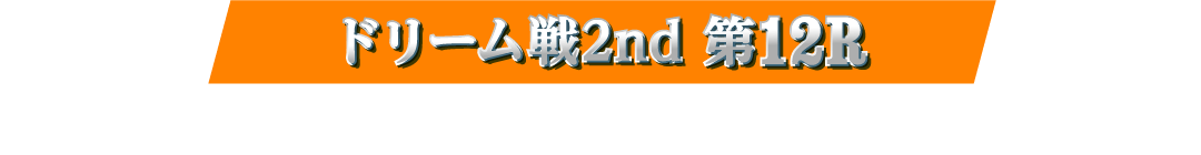 ドリーム戦2st 第12R